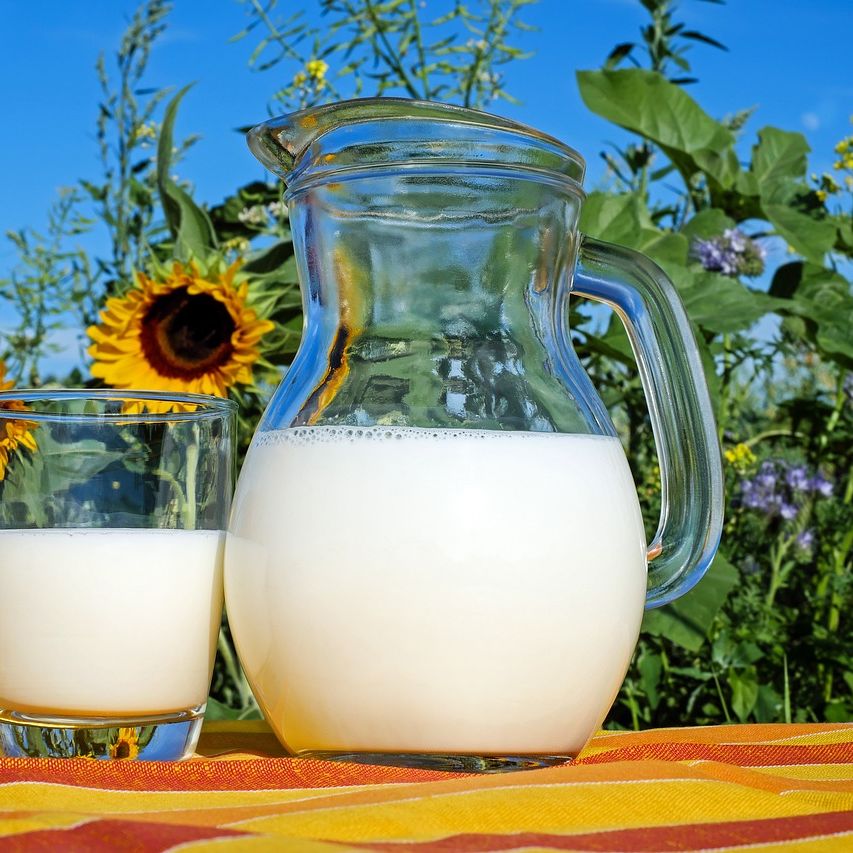 Fresh Milk
