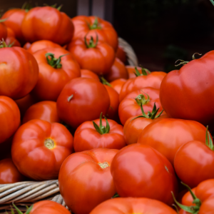 Tomato